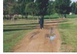 path before