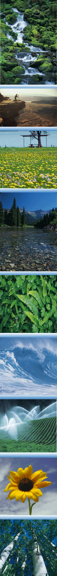 EarthDayBorder