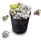 trash bin