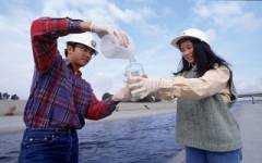 Water Quality Sampling