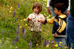 Dominguez Gap Wetlands Project