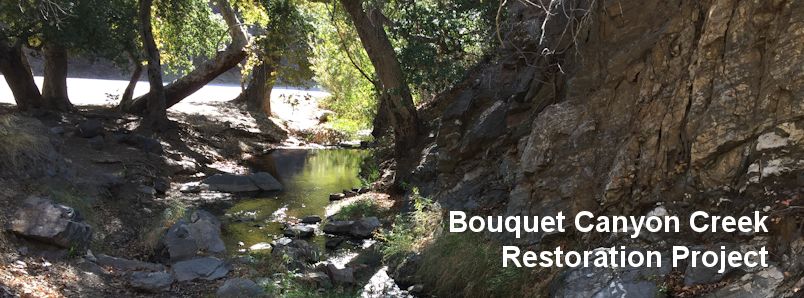 Picture of Bouquet Canyon Creek