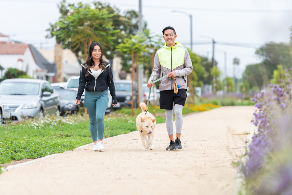 Two people walking a dog in a park.