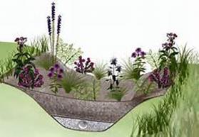 Illustration to capture and infiltrate stormwater runoff