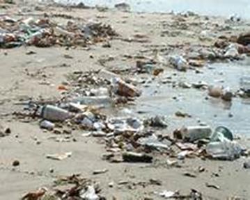 Photo of trash