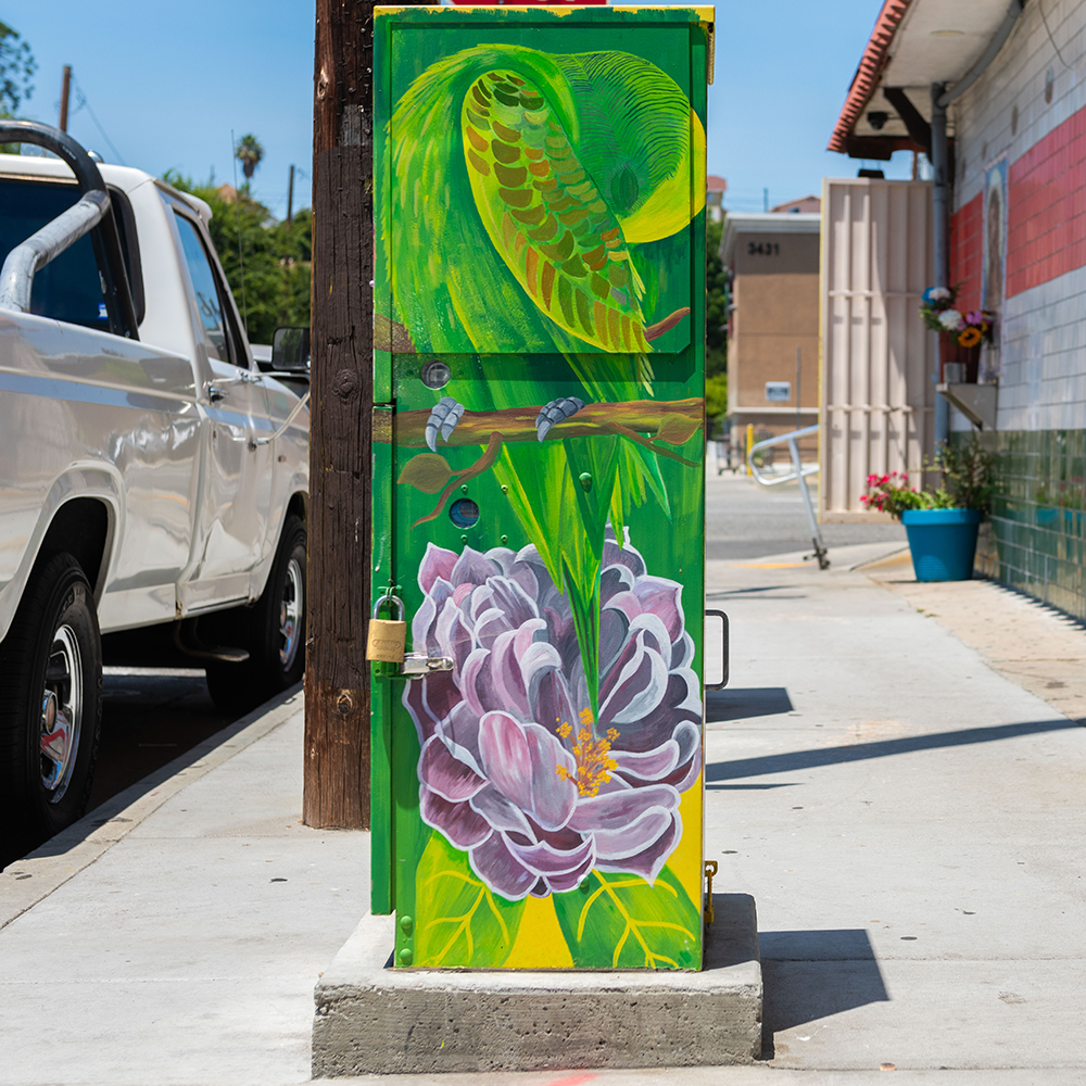 utility box with painting of a parot