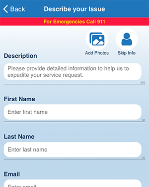 report input screen