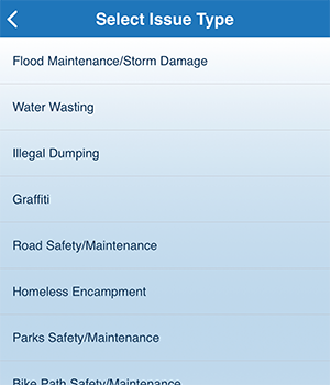 report issue list
