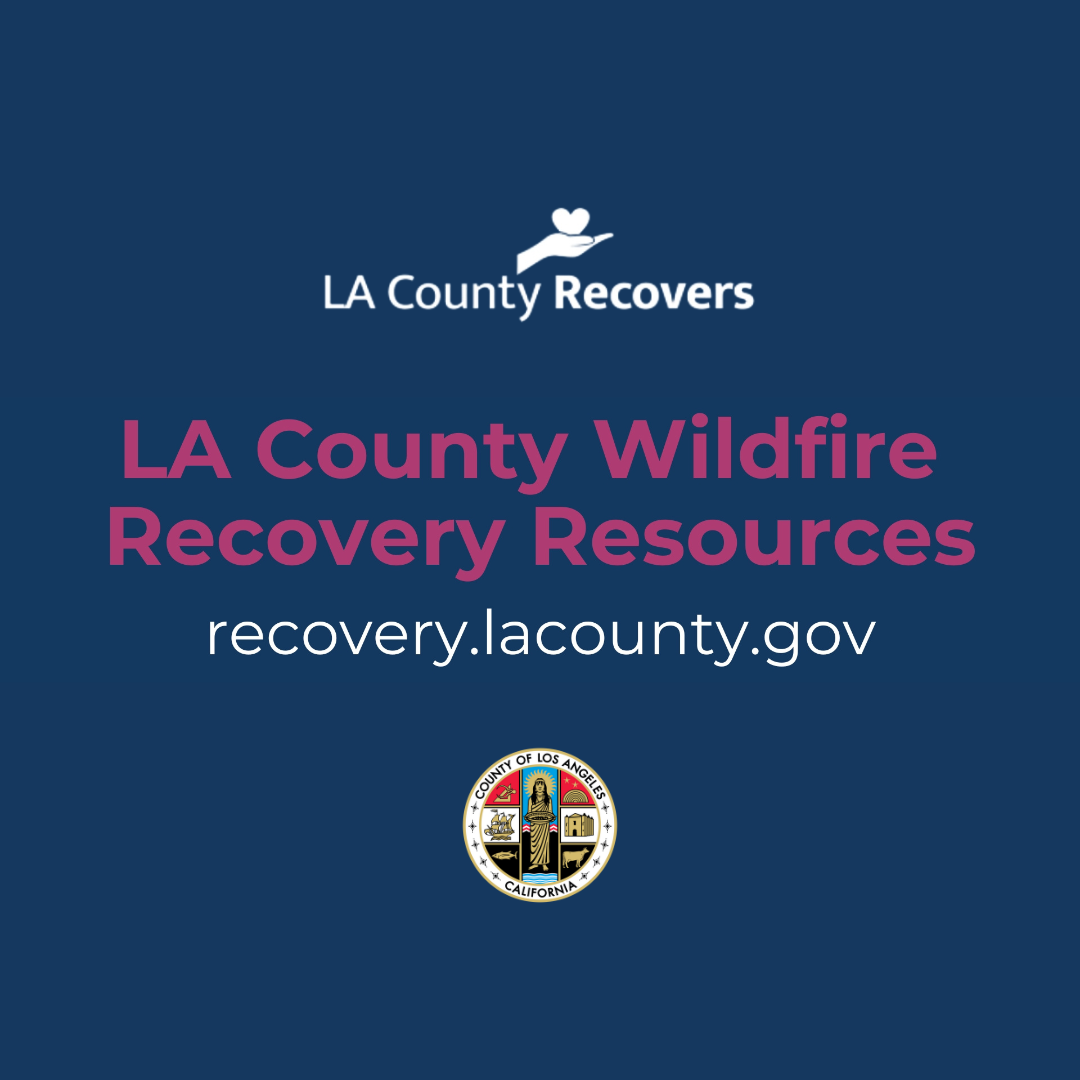 Wildfire Recovery Information